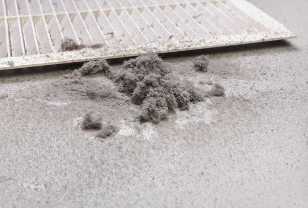 Best Residential Air Duct Cleaning  in Mccullom Lake, IL