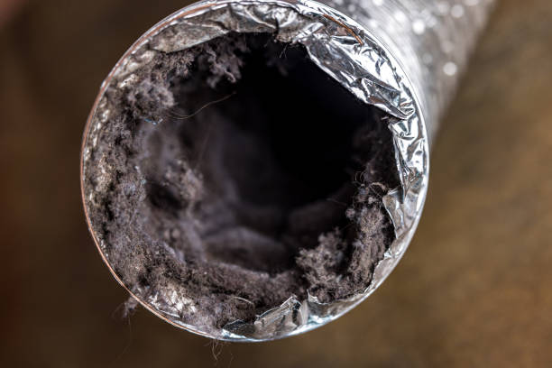 Best Local Air Duct Cleaning Services  in Mccullom Lake, IL