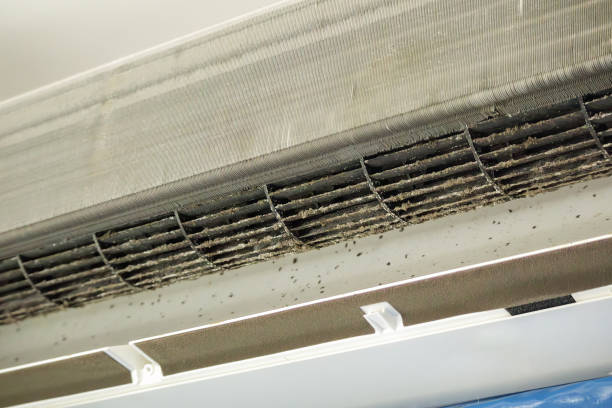 Best Professional Duct Cleaning Services  in Mccullom Lake, IL